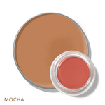 Pro Concealer + Corrector Combo