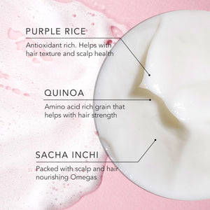 Purple Rice + Quinoa The Shampoo & The Conditioner